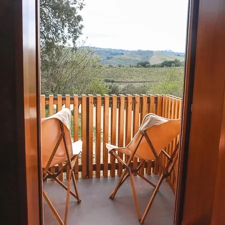 Casas Da Vinha - Vineadouro Wine ホテル