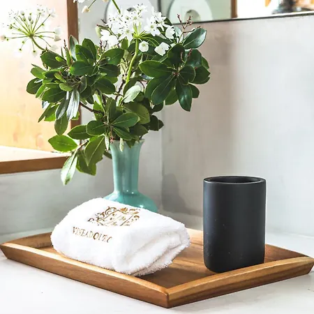 Casas Da Vinha - Vineadouro Wine ホテル *