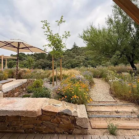 Casas Da Vinha - Vineadouro Wine ホテル Numao