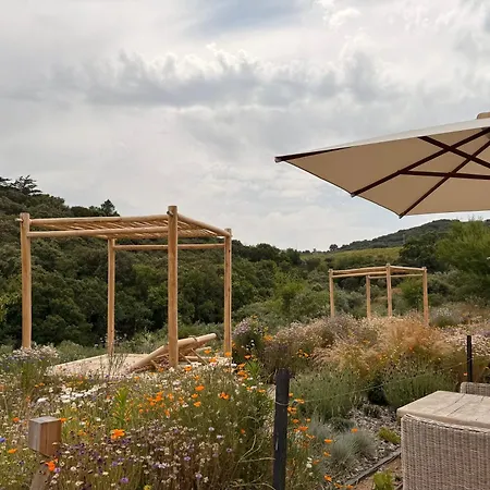 Casas Da Vinha - Vineadouro Wine Hotel