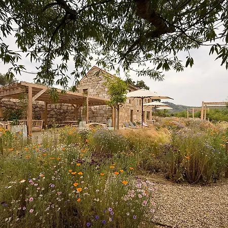 ホテル Casas Da Vinha - Vineadouro Wine *