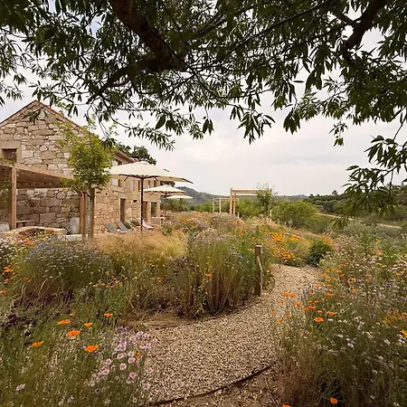 Casas Da Vinha - Vineadouro Wine