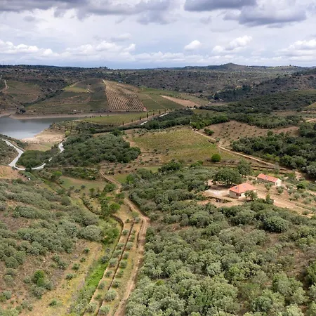 ホテル Casas Da Vinha - Vineadouro Wine