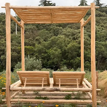 Casas Da Vinha - Vineadouro Wine * Numao