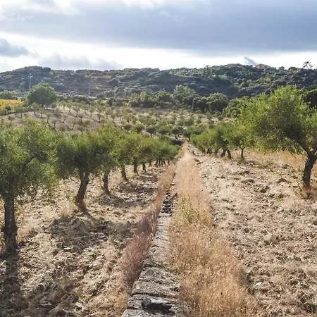Casas Da Vinha - Vineadouro Wine * Numao