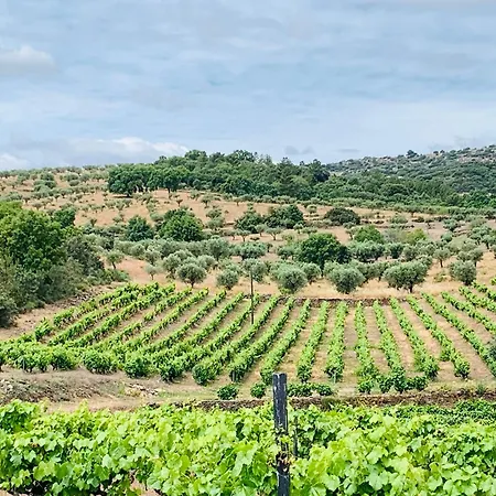 Casas Da Vinha - Vineadouro Wine 호텔 Numao
