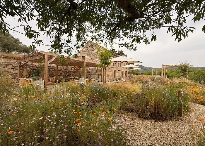 Отель Casas Da Vinha - Vineadouro Wine *