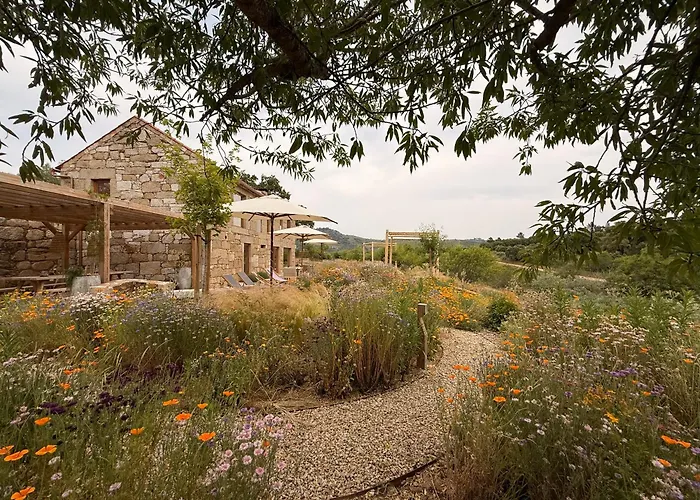 Casas Da Vinha - Vineadouro Wine