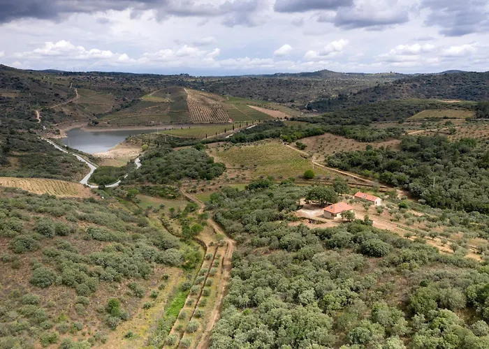 Szálloda Casas Da Vinha - Vineadouro Wine