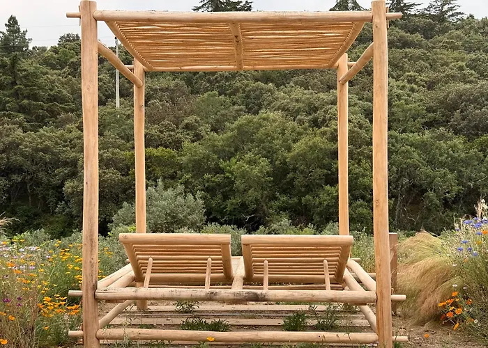 Casas Da Vinha - Vineadouro Wine * Numao